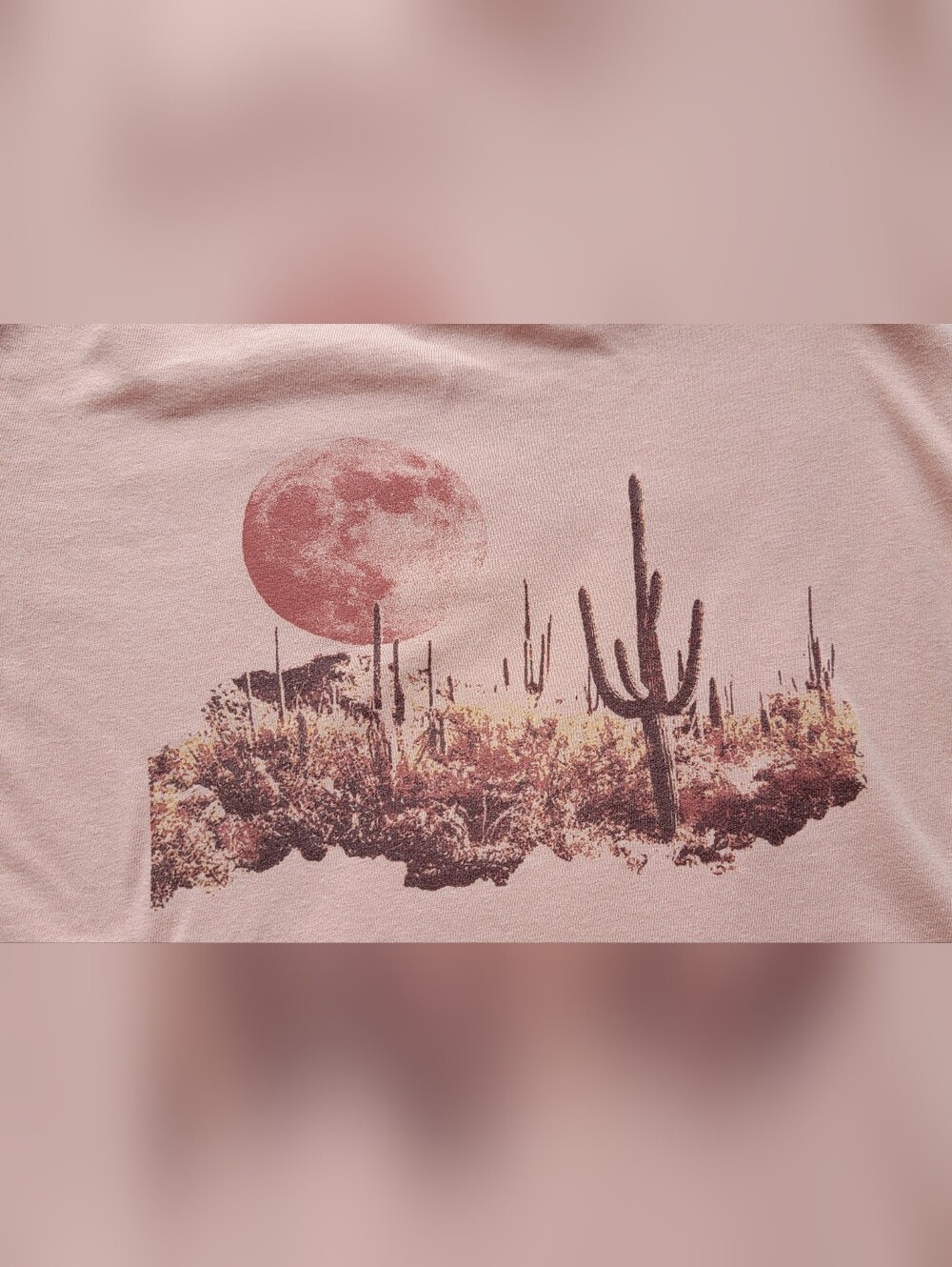 Old Navy Pink Desert Cactus Graphic Tee - Picture 4 of 6